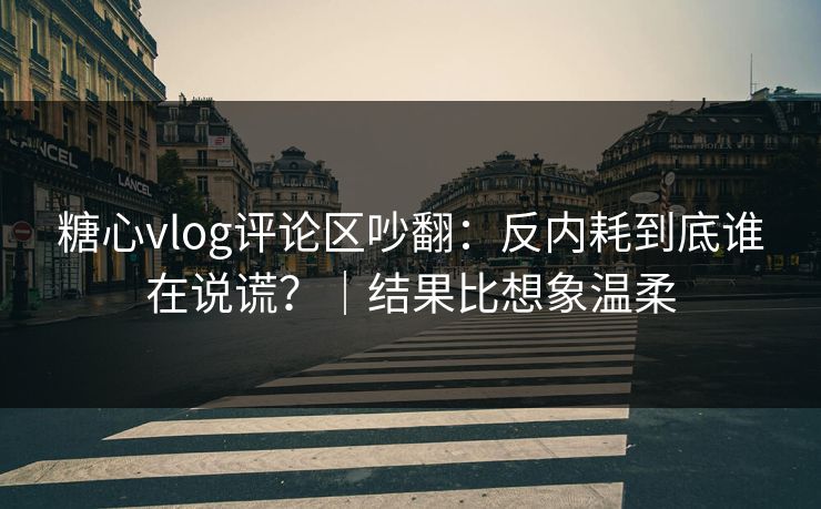 糖心vlog评论区吵翻：反内耗到底谁在说谎？｜结果比想象温柔