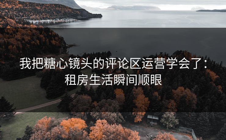 我把糖心镜头的评论区运营学会了：租房生活瞬间顺眼