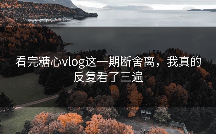 看完糖心vlog这一期断舍离，我真的反复看了三遍