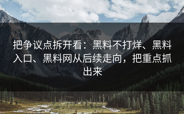 把争议点拆开看：黑料不打烊、黑料入口、黑料网从后续走向，把重点抓出来