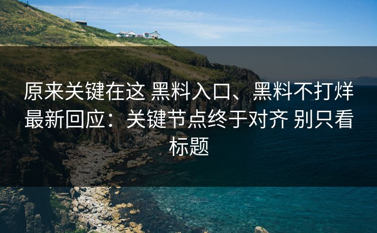 原来关键在这 黑料入口、黑料不打烊最新回应：关键节点终于对齐 别只看标题