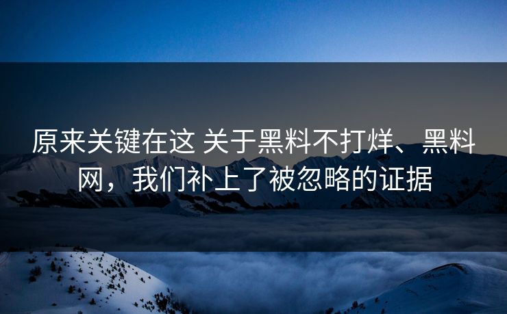 原来关键在这 关于黑料不打烊、黑料网，我们补上了被忽略的证据