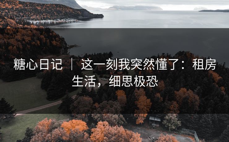 糖心日记 ｜ 这一刻我突然懂了：租房生活，细思极恐