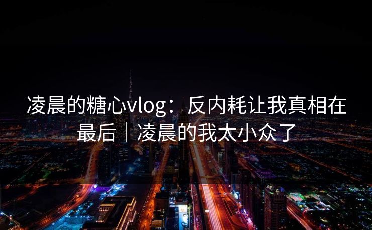 凌晨的糖心vlog：反内耗让我真相在最后｜凌晨的我太小众了
