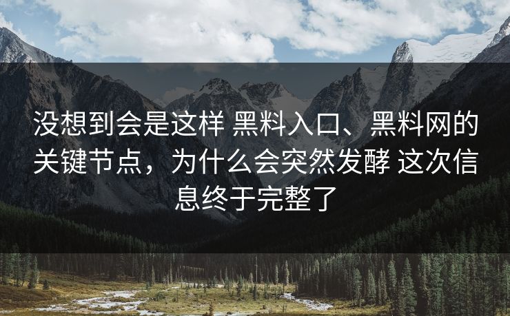 没想到会是这样 黑料入口、黑料网的关键节点，为什么会突然发酵 这次信息终于完整了