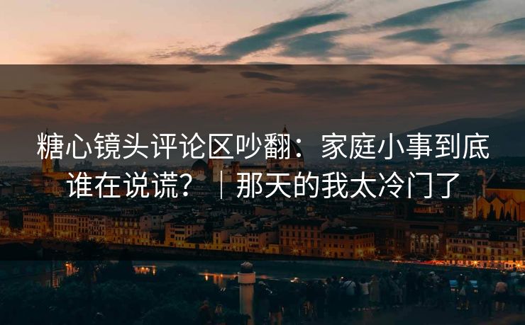糖心镜头评论区吵翻：家庭小事到底谁在说谎？｜那天的我太冷门了