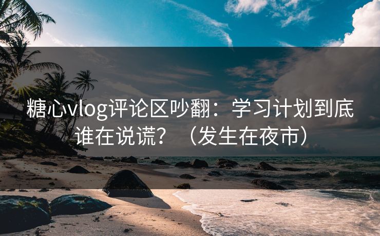 糖心vlog评论区吵翻：学习计划到底谁在说谎？（发生在夜市）