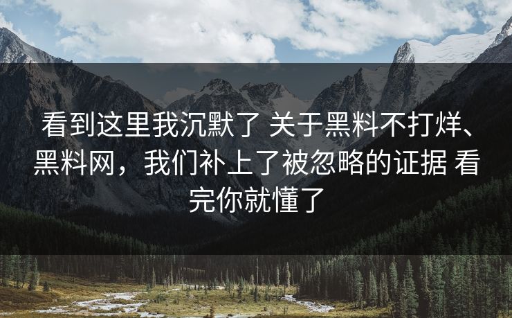 看到这里我沉默了 关于黑料不打烊、黑料网，我们补上了被忽略的证据 看完你就懂了